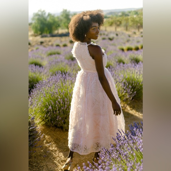 NWT Shayla Tulle Halter Dress in Light Pink - Size Medium - Picture 4 of 13